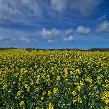 Les Pieds Dans L'eau, Face Au Port De Plaisance, Classe 3 Etoiles * Fécamp