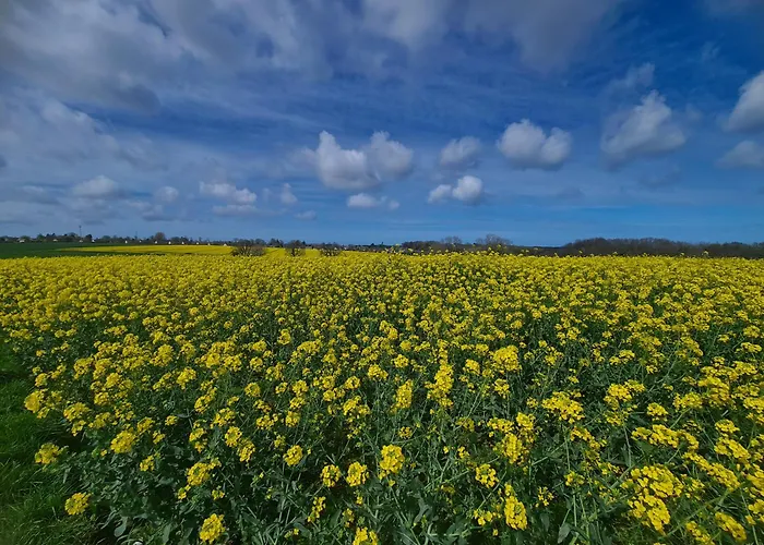 Les Pieds Dans L'eau, Face Au Port De Plaisance, Classe 3 Etoiles * Fécamp
