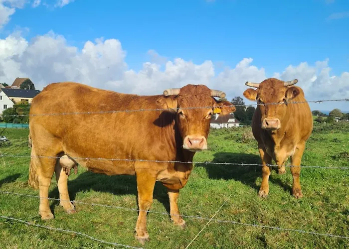 Apartmán Les Pieds Dans L'eau, Face Au Port De Plaisance, Classe 3 Etoiles Fécamp